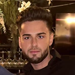 Gino Ludici